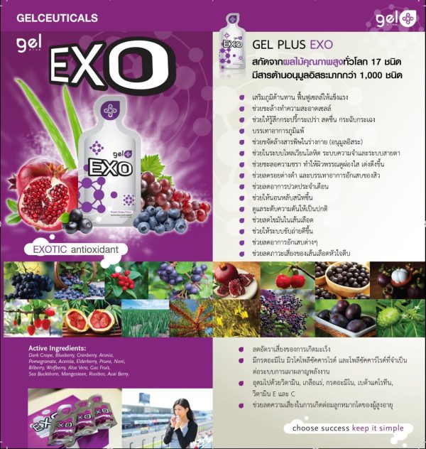 Gelplus EXO - Image 3